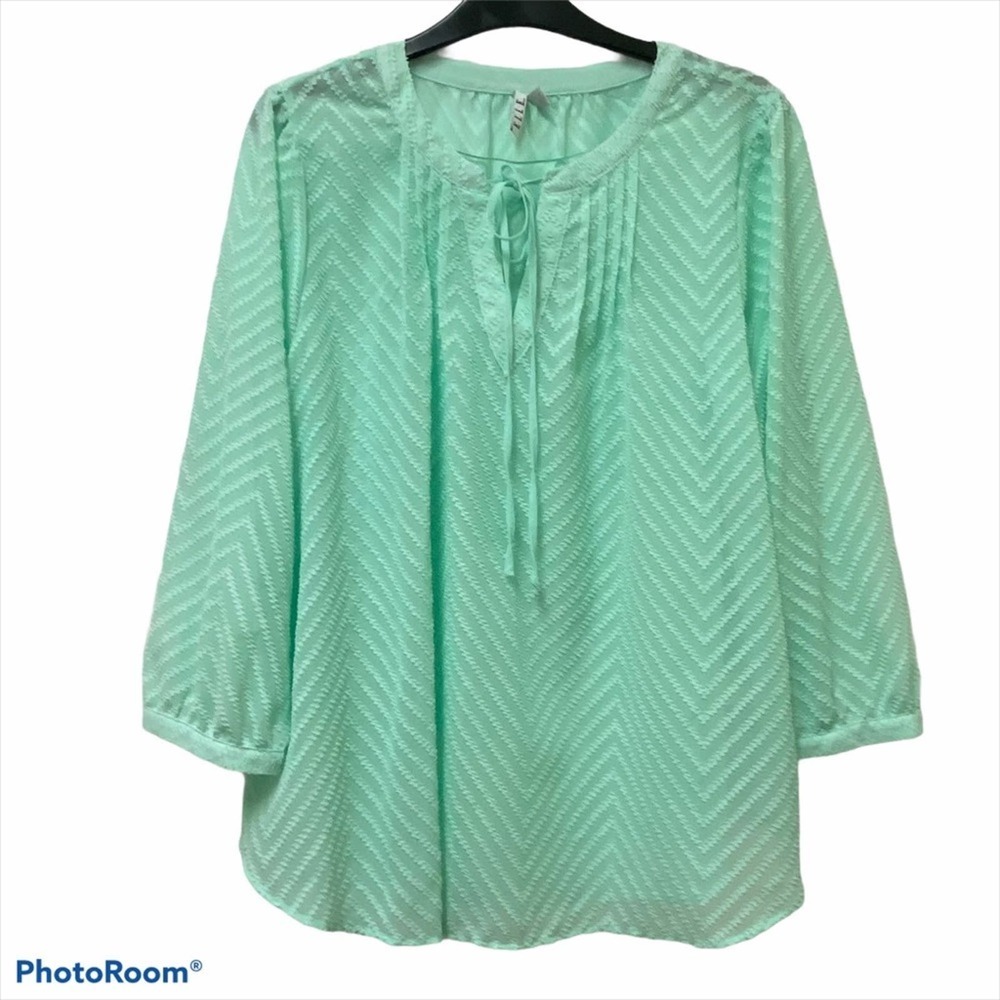 Elle Mint Green Sheer Chevron Blouse L